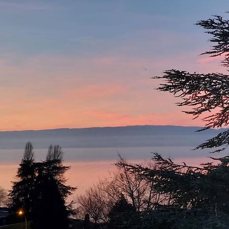 Le Mirabeau Vue Lac Évian-les-Bains Exterior foto