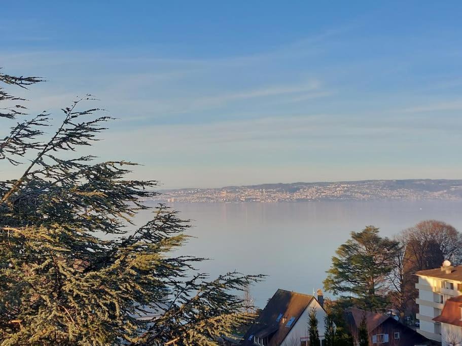 Le Mirabeau Vue Lac Évian-les-Bains Exterior foto
